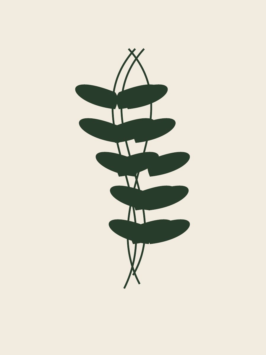 Garden Lines botanical vector artwork in an illustrative wood frame